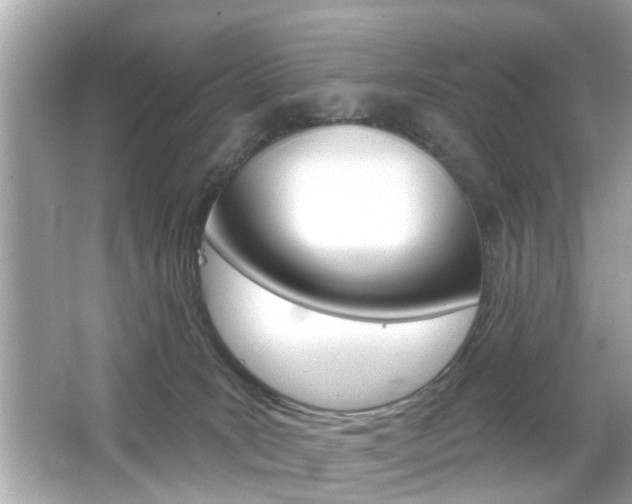 X0000066530035200603171041