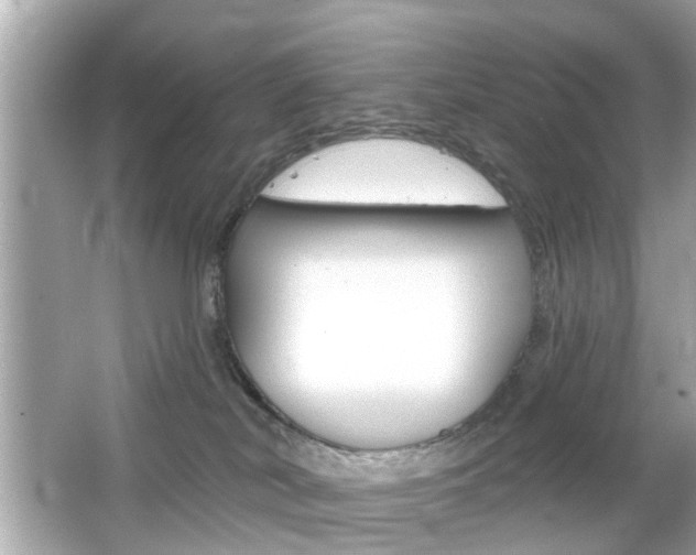 X0000066530038200603171041