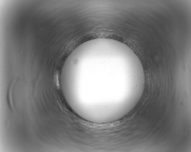 X0000066530042200603171040