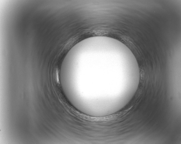 X0000066530046200603171040