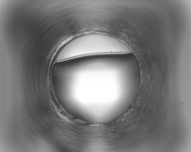 X0000066530050200603171040