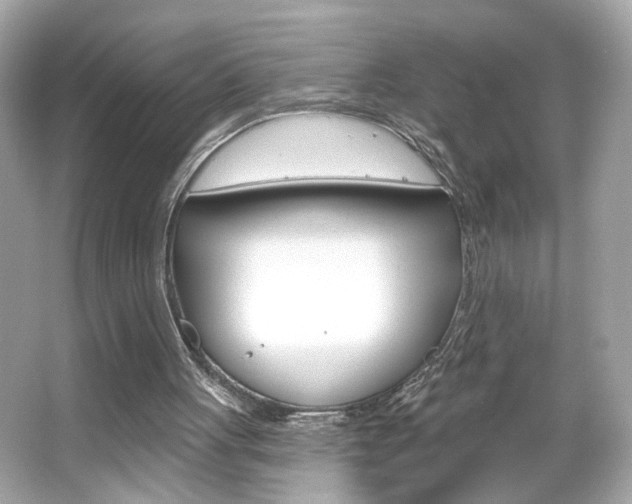 X0000066530051200603171040