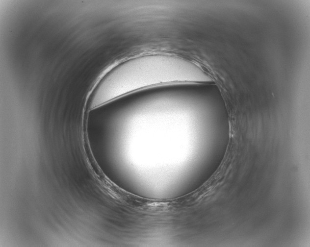 X0000066530052200603171040