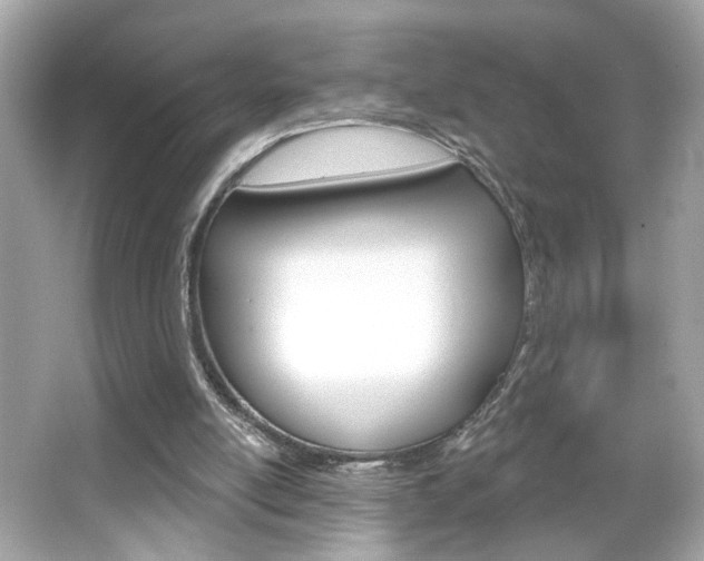 X0000066530054200603171040