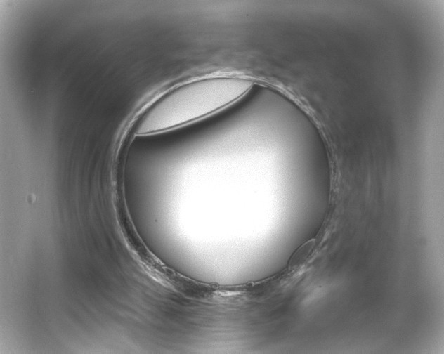 X0000066530055200603171040