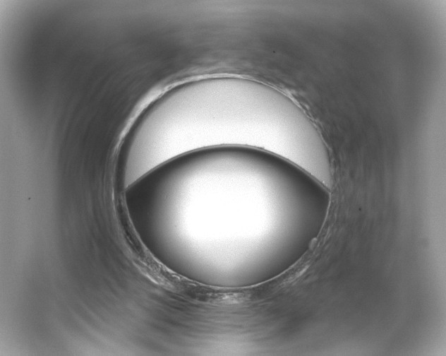 X0000066530056200603171040