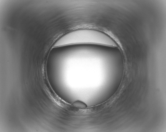 X0000066530057200603171040