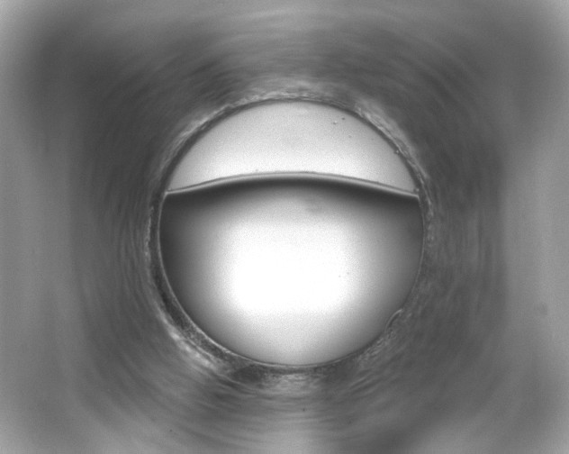 X0000066530058200603171040