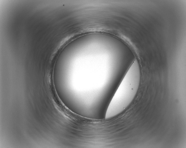 X0000066530060200603171040