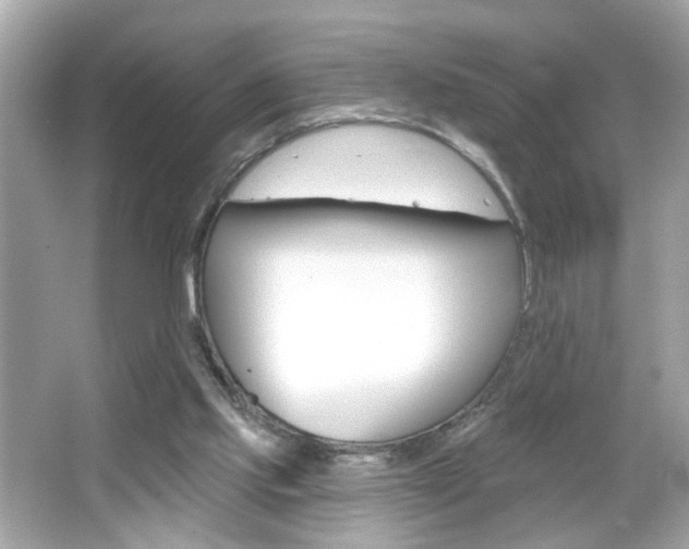 X0000066530061200603171040