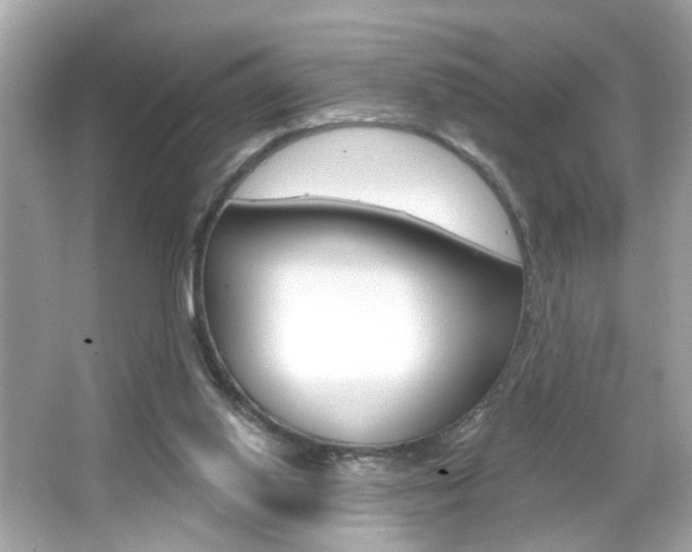 X0000066530062200603171040
