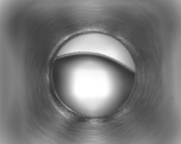X0000066530064200603171040
