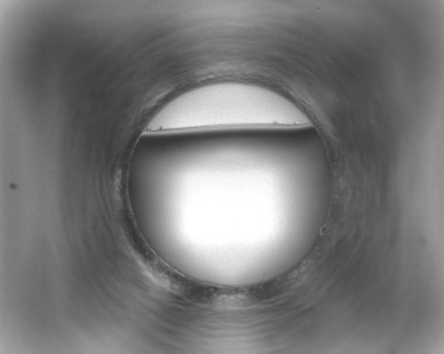 X0000066530066200603171040
