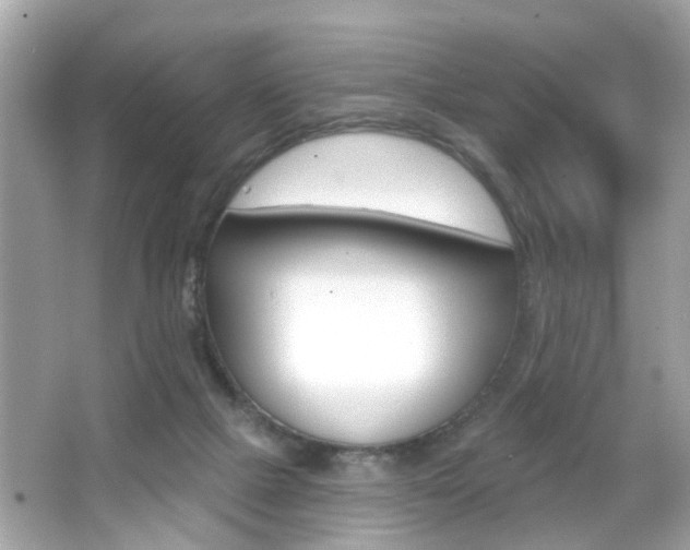 X0000066530073200603171040