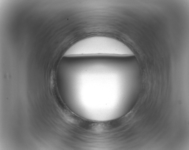 X0000066530074200603171040