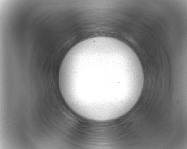 X0000066530077200603171040