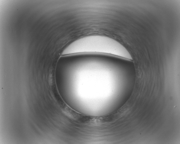 X0000066530080200603171040
