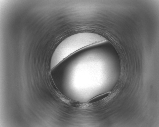 X0000066530096200603171040