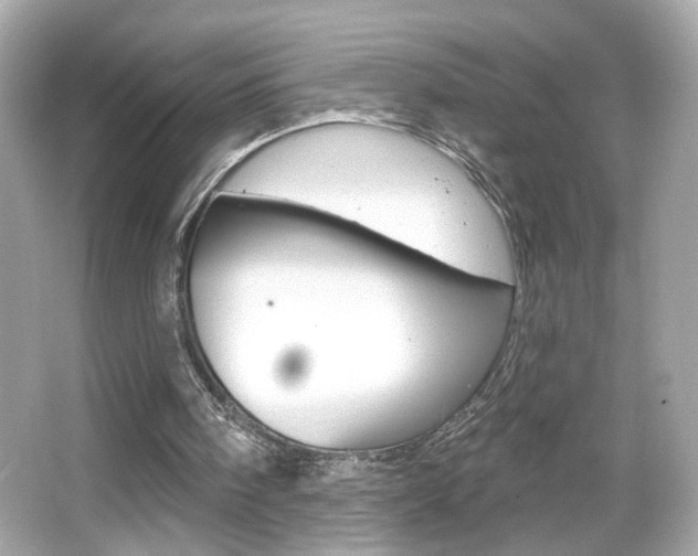 X0000066530098200603171040