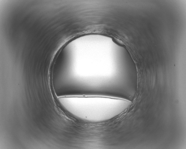 X0000066530100200603171040
