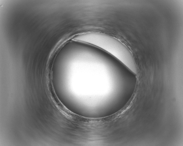 X0000066530101200603171039