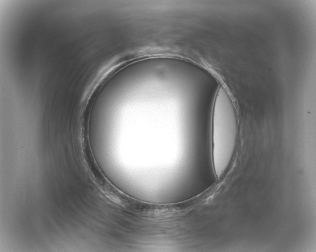 X0000066530103200603171039
