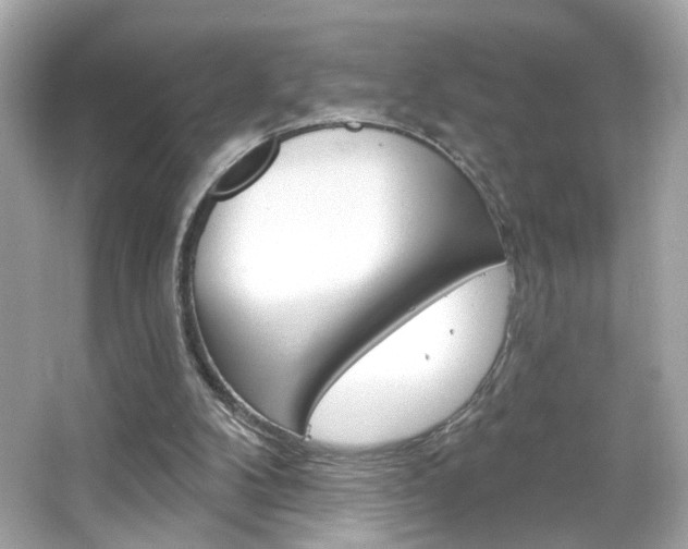 X0000066530104200603171039
