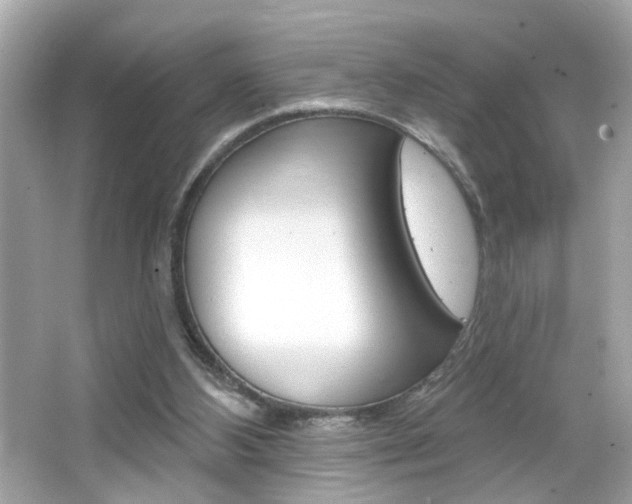 X0000066530108200603171039