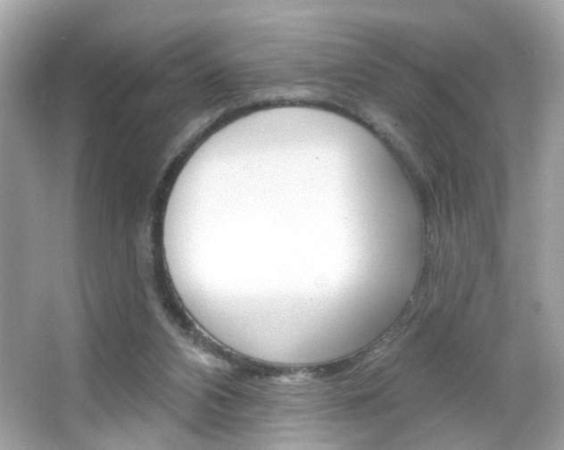 X0000066530112200603171039