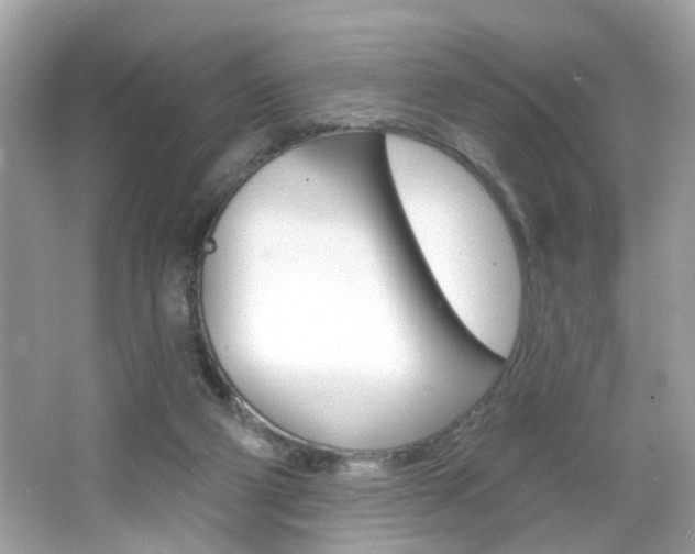 X0000066530114200603171039
