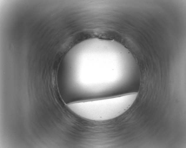 X0000066530129200603171039