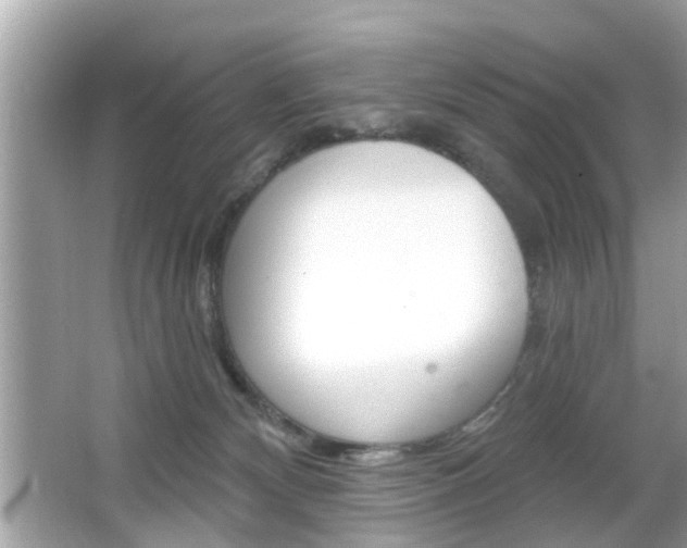 X0000066530132200603171039