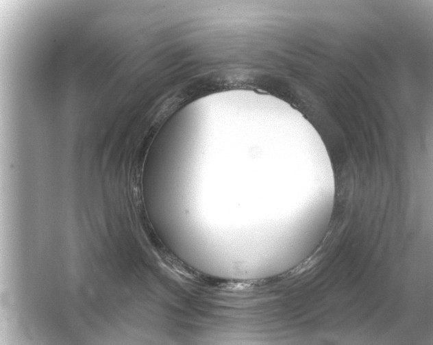 X0000066530140200603171039