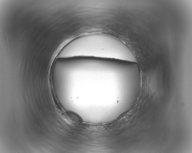 X0000066530147200603171038