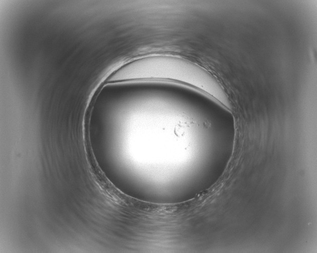 X0000066530148200603171038