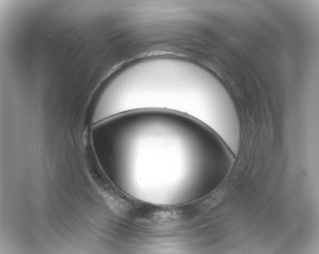 X0000066530160200603171038