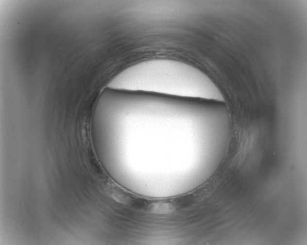 X0000066530169200603171038