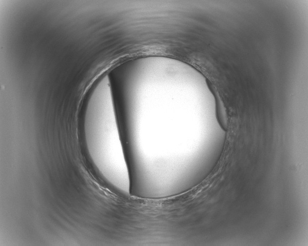 X0000066530194200603171038