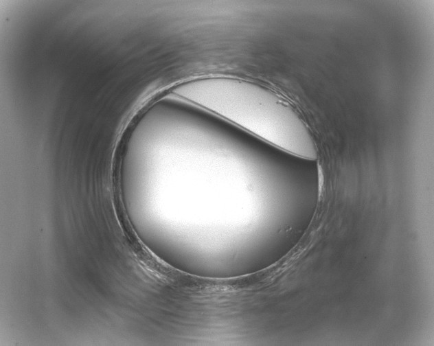 X0000066530195200603171038