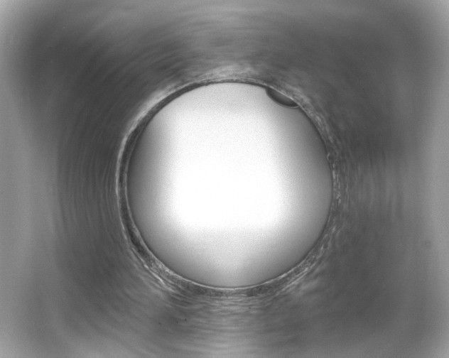 X0000066530196200603171038