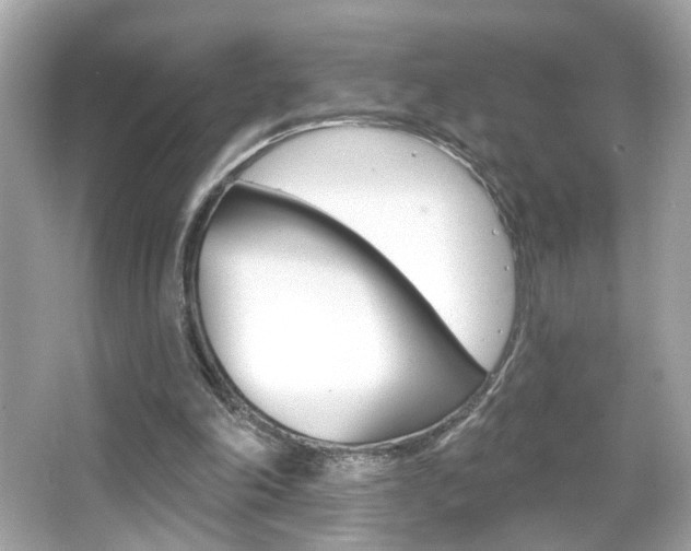 X0000066530198200603171038