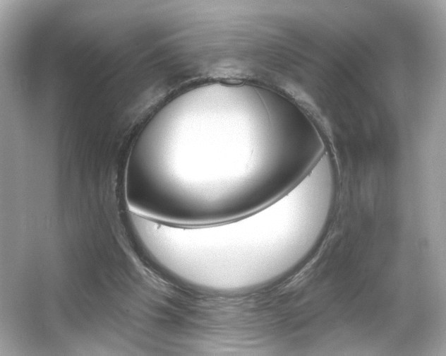 X0000066530201200603171038