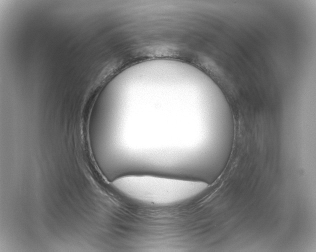 X0000066530202200603171038