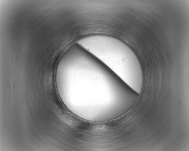 X0000066530206200603171038