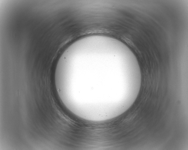 X0000066530207200603171038