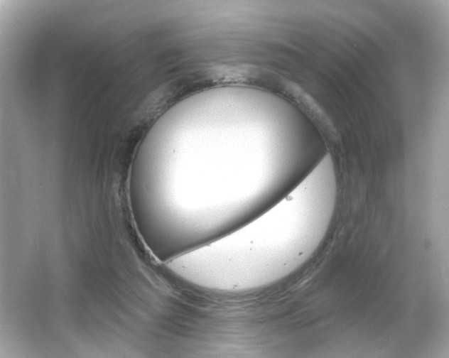 X0000066530209200603171038