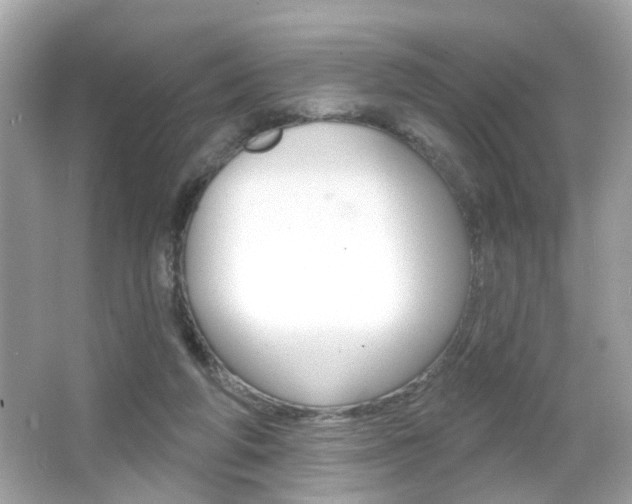 X0000066530210200603171038