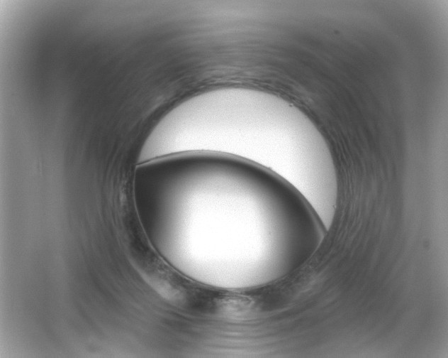 X0000066530215200603171038