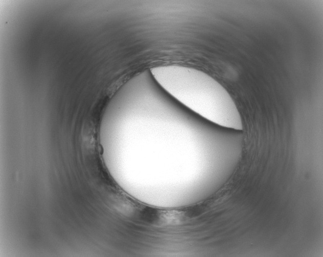 X0000066530226200603171037