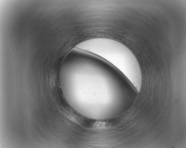 X0000066530227200603171037